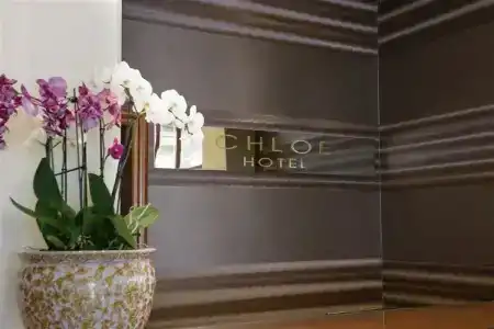 Chloe Luxury - 1