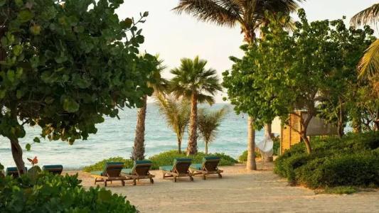 Banyan Tree - 95
