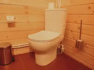 Cedar Grass Териберка - 217