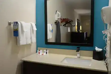 Holiday Inn Express Nashville w-i40, An Ihg - 31