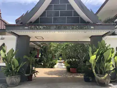Tropical Palm Resort - 25