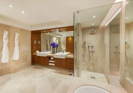 Park Plaza London Riverbank - 77