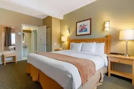 Econo Inn & Suites - - 50