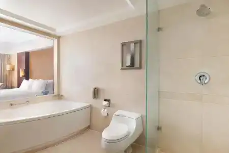 Radisson Blu Shanghai New World - 91