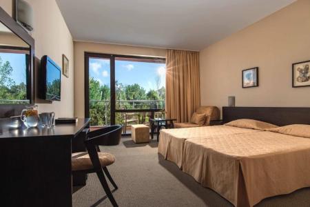 Flamingo - All Inclusive light - 39