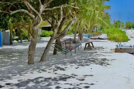 WhiteShell Island & Spa - 23