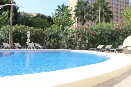 Flamingo Beach Resort - 27