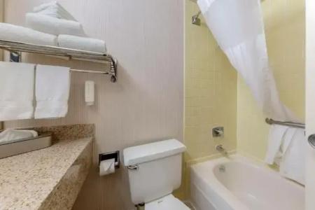 Clarion Anaheim Resort - 44