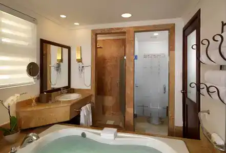 Meliá Caribe Beach Resort-All Inclusive - 41