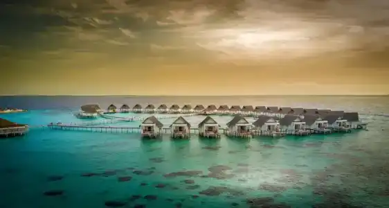 Centara Grand Island Resort & Spa - 36