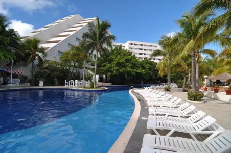 Oasis Palm - 19