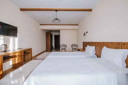 Gudauri Inn - 78