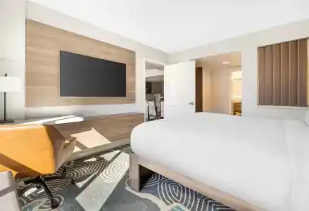 Hilton Grand Vacations Club Paradise Las Vegas - 51
