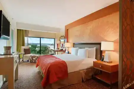 Hilton University of Houston - 29