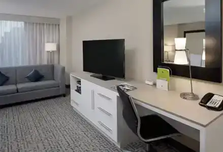 DoubleTree by Hilton Chicago Magnificent Mile - 55