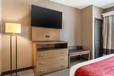 Comfort Suites Bush Intercontinental Airport - 26