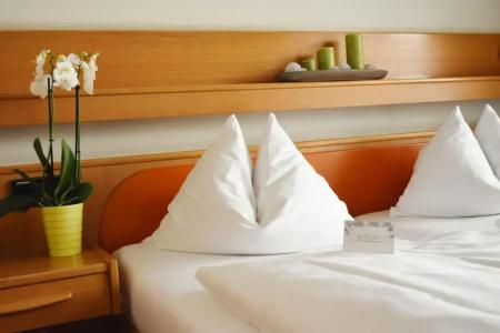 Savoy Bad Mergentheim - 5