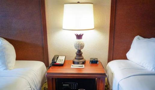 Rosen Inn International Near The Parks - 51