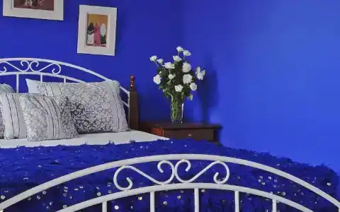 Riad 58 Blu - 26