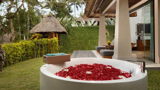 Maya Ubud Resort & Spa - 52