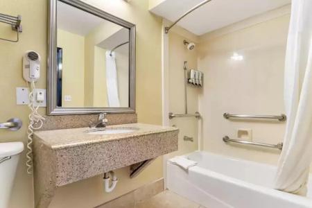 Comfort Suites Bush Intercontinental Airport - 38