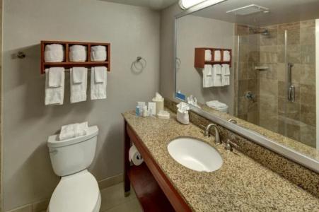 Hampton Inn Miami-Coconut Grove/Coral Gables - 53
