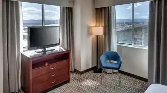 Hilton Garden Inn Denver Downtown - 89