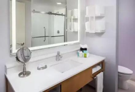 Hampton Inn & Suites by Hilton Miami Downtown/Brickell - 53