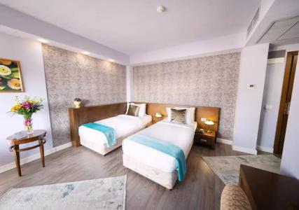 Phoenicia Comfort - 19