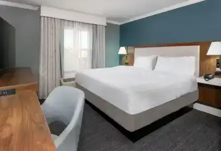 Hampton Inn Savannah Historic District - 31