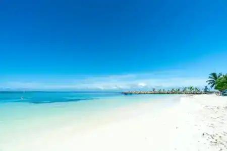 Paradise Retreat - 22