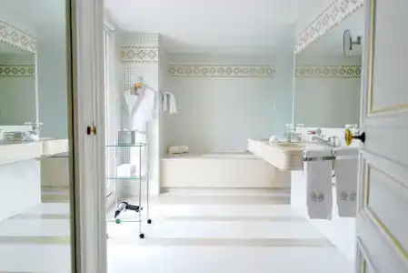 Hôtel Lancaster Paris Champs-Elysées - 64