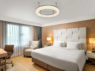 Radisson Blu, Istanbul Sisli - 65