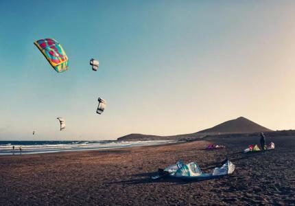Playa Sur Tenerife - 29