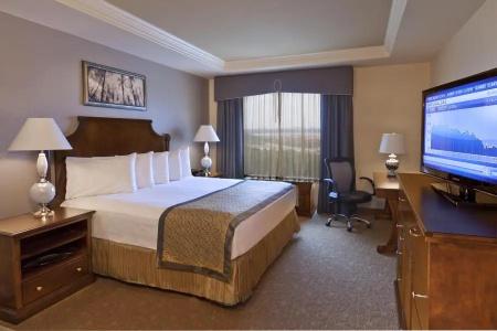 Rosen Plaza Orlando Convention Center - 64