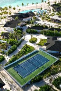 Joy Island - 19