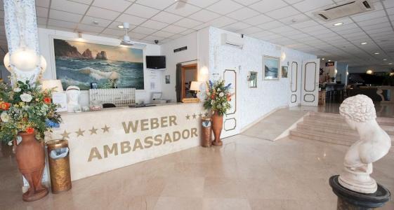 Weber Ambassador - 1