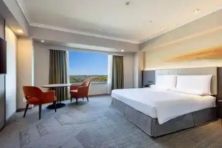 Hilton Tokyo Narita Airport - 6