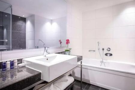 Park Plaza London Riverbank - 41