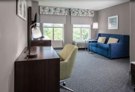 Hampton Inn & Suites Crystal City Dca - 41