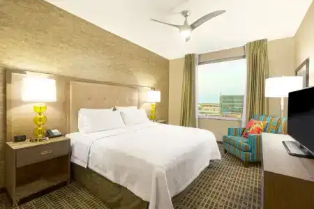 Hampton Inn Houston Downtown - 21