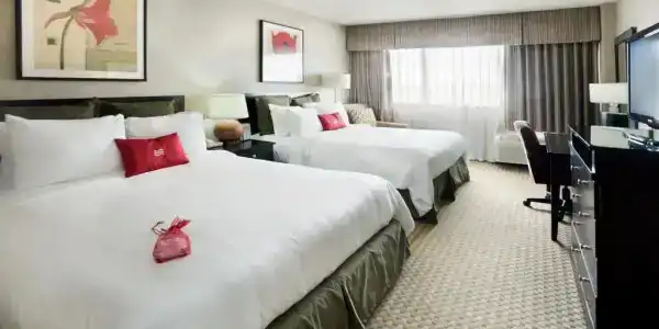 Comfort Inn & Suites San Antonio Airport - 29