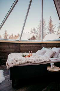 Wilderness Muotka & Igloos - 28