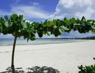 Pongwe Bay - 31