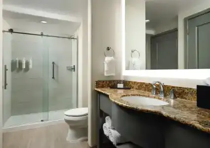 Embassy Suites Tucson - Paloma Village - 42