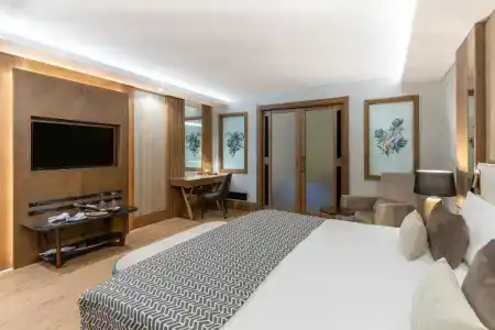 Susesi Luxury Resort - 40