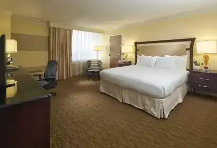Hilton North Hills - 39