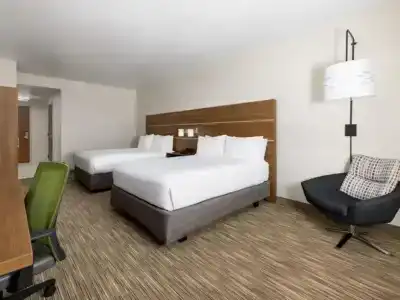 Holiday Inn Express & Suites-Yosemite Park Area, an IHG - 29