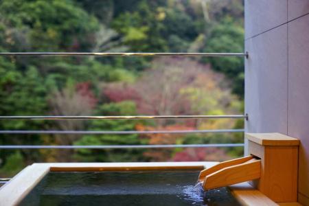 Arima Onsen Gekkoen Korokan - 42