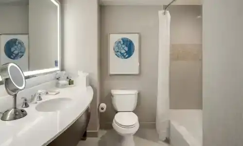 Signia by Hilton Orlando Bonnet Creek - 39
